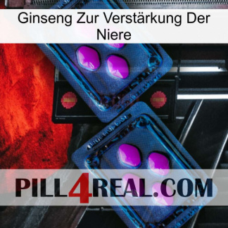 Ginseng Zur Verstärkung Der Niere 03